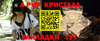 индика Камышлов