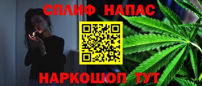 индика Камышлов