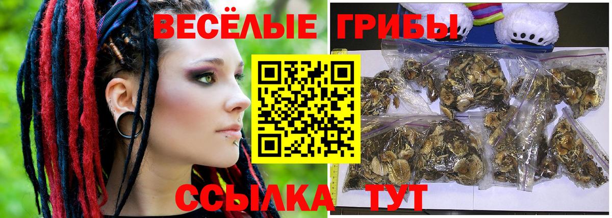 Магнитогорск  Псилоцибиновые грибы Magic Shrooms  Вход с VPN  Галлюциногенные грибы Cubensis 