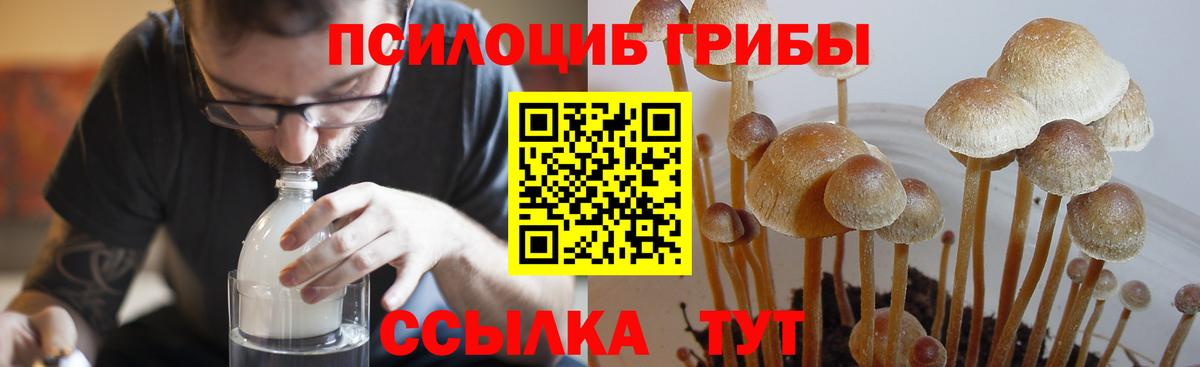 Псилоцибиновые грибы ЛСД Магнитогорск